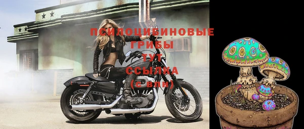 СК Красноперекопск