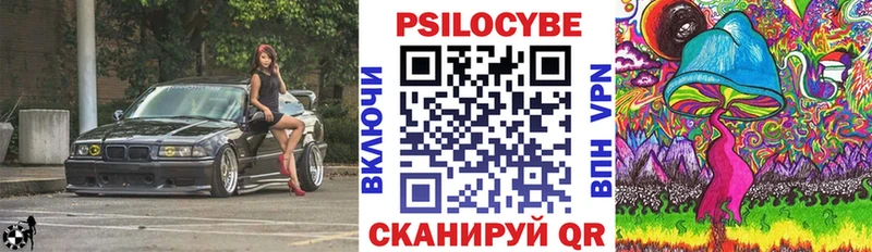 Купить  Жуковский  Псилоцибиновые грибы Psilocybine cubensis 